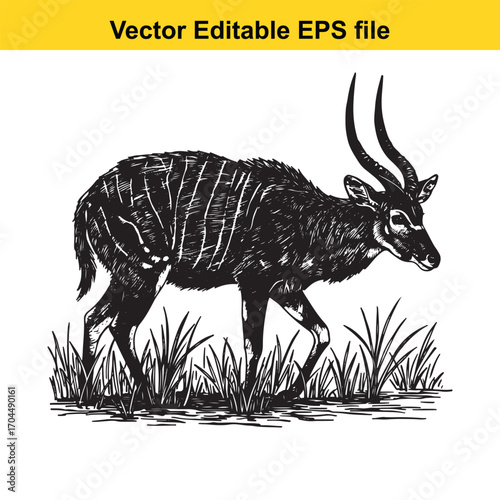 Illustration of a nyala antelope standing in grass
