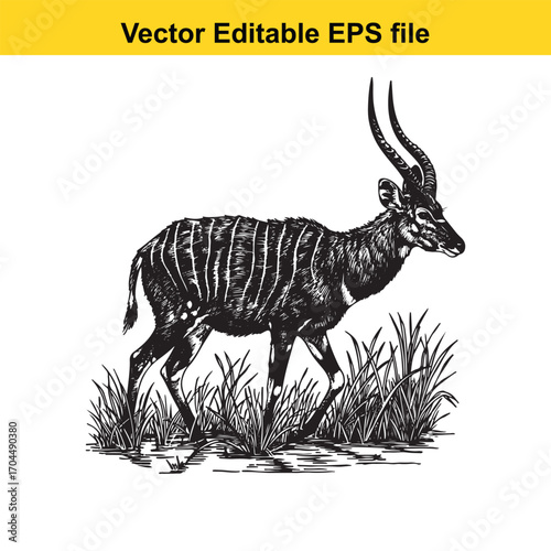 Illustration of a nyala antelope standing in grass