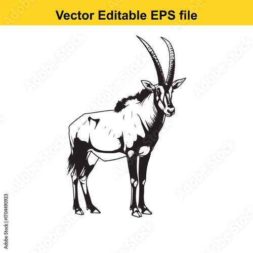 Illustration of a sable antelope standing