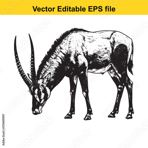 Vector art of black and white illustration of a sable antelope