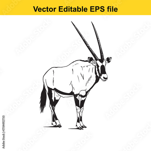 Vector art of oryx antelope standing