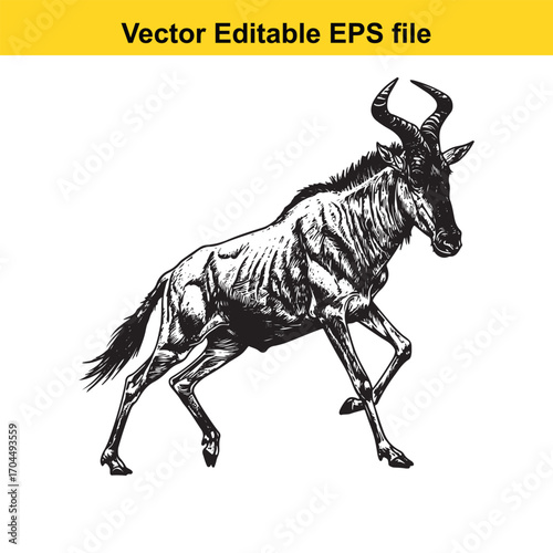 Vector art of wildebeest, detailed sketch illustration