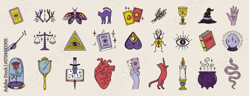 Boho witchy elements set heart, moths and spellbook, all seeing eye and goblet, candle and beetle, snake and rose, astrology symbols hand drawn