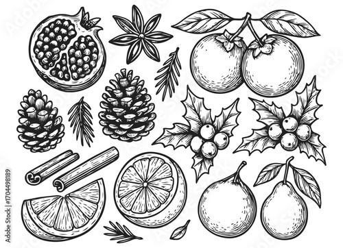 Hand drawn Christmas fruit pinecone cinnamon and holly collection isolated on transparent background, generative ai