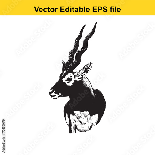 Vector art of blackbuck antelope head, vector illustration