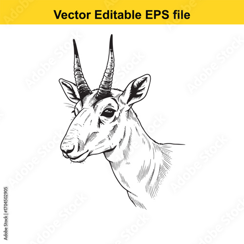 Vector art of detailed sketch of a gazelle head