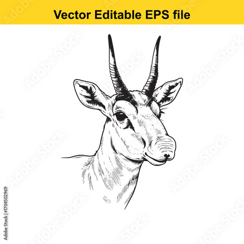 Vector art of detailed sketch of a gazelle head