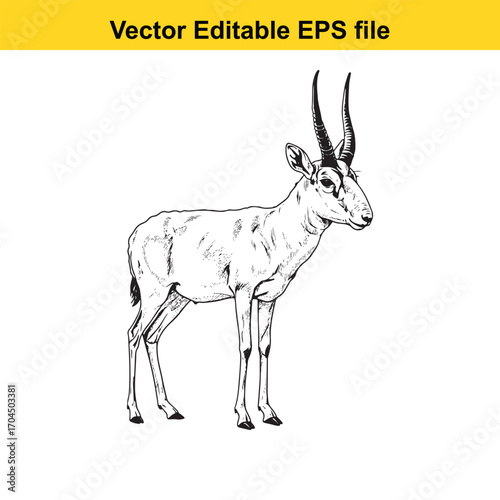 Vector art of black and white illustration of a gazelle