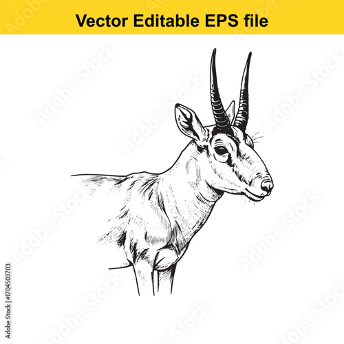 Vector art of black and white sketch of a saiga antelope