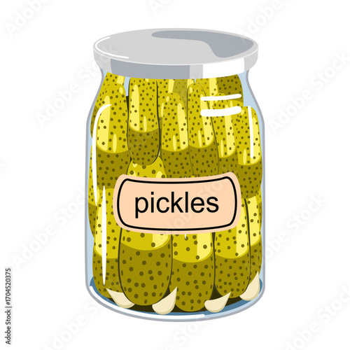 Homemade pickles with garlic in a jar, vector illustration