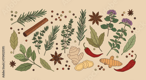 Exploring Diverse Spices and Herbs in a Kitchen Setting, Digital Illustration for Cooking Inspiration