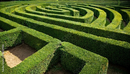A Maze Of Hedges With A Green Color