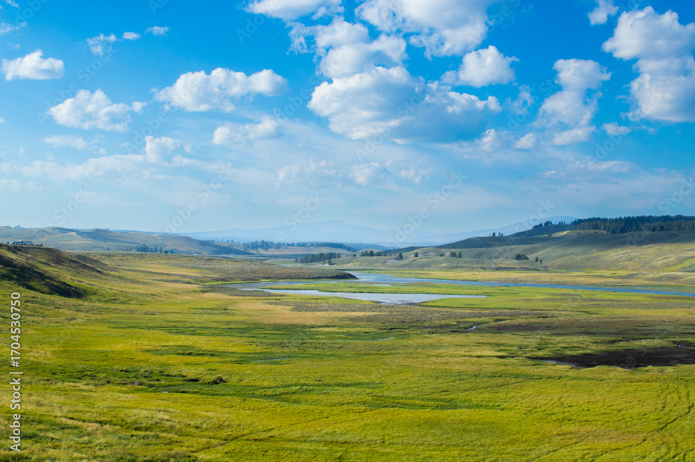 Obraz premium Hayden Valley in Yellowstone National Park