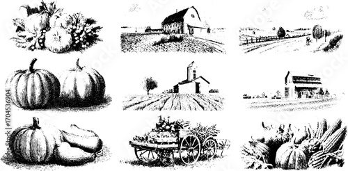 Rustic farmhouse and harvest vegetables set in vintage engraving style for autumn decoration