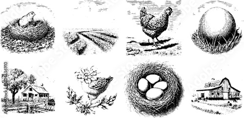 Engraving style illustrations of farm scenes and chickens for rustic decor and design