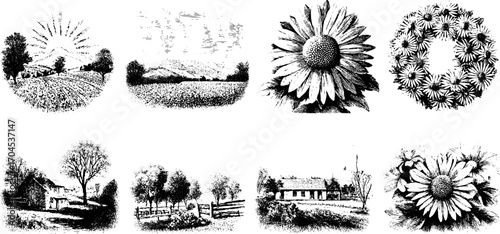 Vintage landscape and floral engravings set for design and decoration