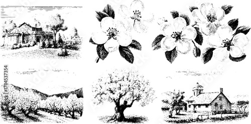 Vintage engraving style illustration set of trees, flowers, and rural scenes for design