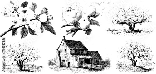 Vintage rural landscape and floral engravings: rustic farmhouse and blossoming trees for print design