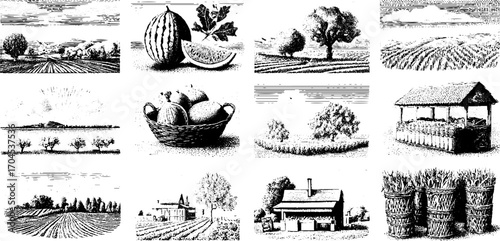 Vintage engraving style set of rustic farm scenes and produce illustrations