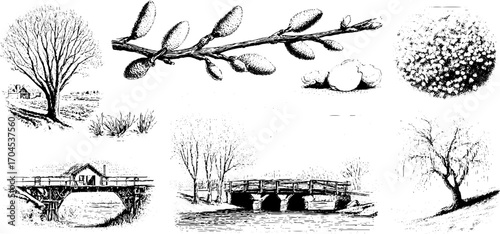 Vintage engraving style illustration set featuring trees bridges nature scenes