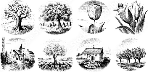 Vintage engraving style illustration set of trees, flowers, and houses for retro design
