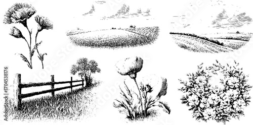 Engraving style illustration set of nature scenes and floral elements for design