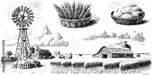 Rural farm scene with windmill, wheat, and barn in vintage engraving style for rustic design