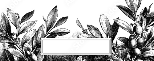 Ornamental vintage frame banner with leafy design for cards and posters