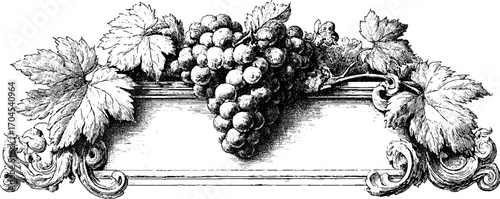 Ornamental vintage frame with grapevine design for elegant banners and labels