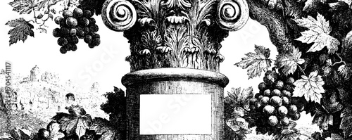 Elegant vintage frame with ancient column and grapevine design for heritage decor