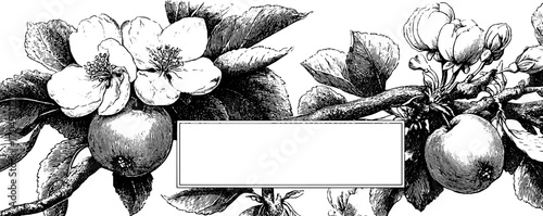 Vintage apple tree frame illustration with blossoms and branches design for banner or label