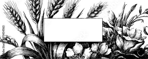 Vintage illustration of barley stalks with decorative frame for retro banner design