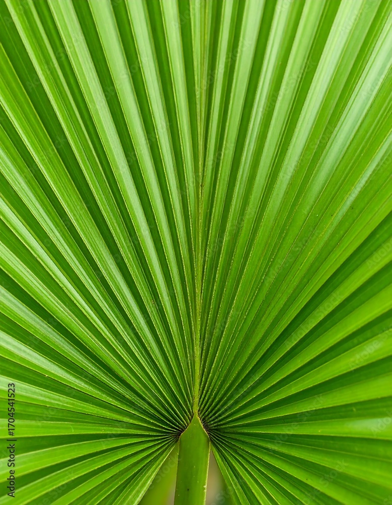 Fototapeta premium Close-up of a vibrant green palm frond