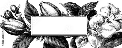 Vintage cocoa pod and floral frame illustration for elegant banner design