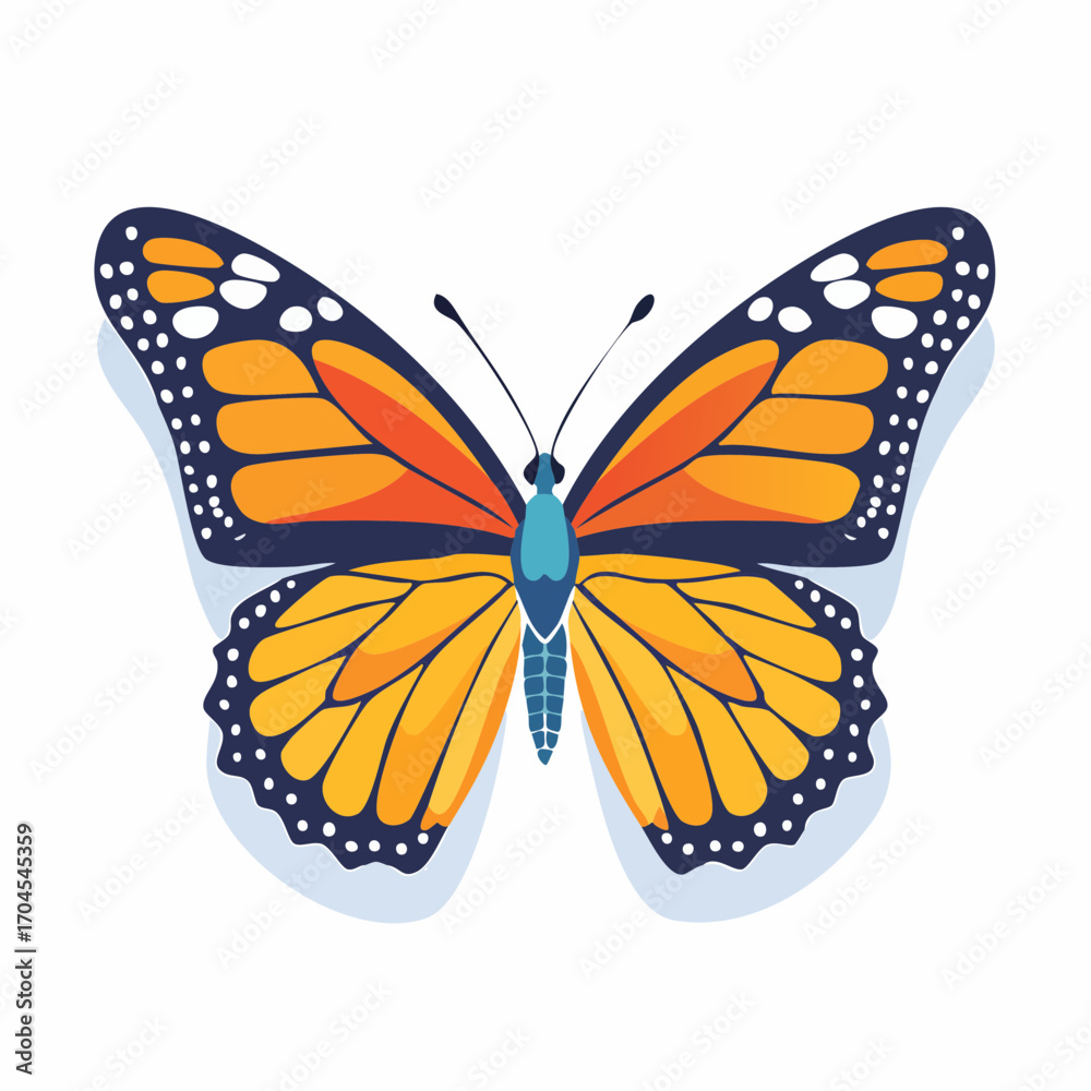 Fototapeta premium Monarch Butterfly With Open Wings On White Background