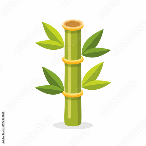 Green Bamboo Stalk With Leaves on White Background