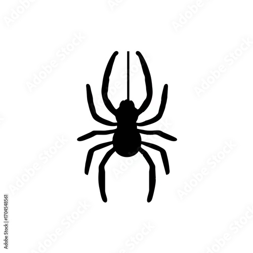 Black spider hangs ominously from string for Halloween

