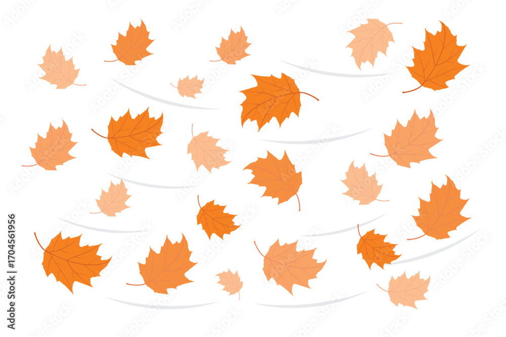 Fototapeta premium Autumn falling leaves illustration with orange and beige maple leaves blowing in the wind on white background. Seasonal fall vector design.