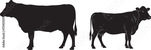 Two Cattle Silhouettes