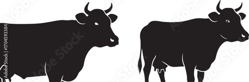 Black Silhouette of Two Cows