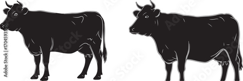 Black and White Silhouettes of Two Cows