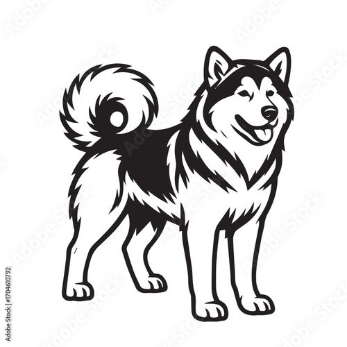 Black and white vector drawing of Alaskan Malamute breed, outlined in black, ideal for creative artworks, posters, signage, or modern decorative graphic purposes.