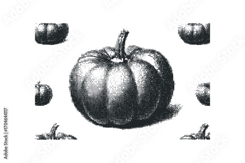 Pumpkin variety on transparent background with halftones effect. Vector hand drawn illustration