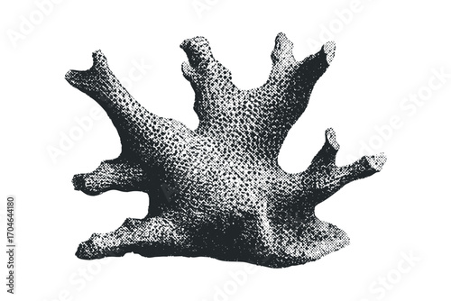 Halftone Textured Branching Coral Image. Vector hand drawn illustration