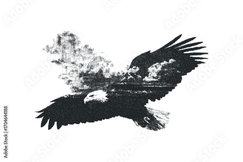 Eagle in flight, grunge texture, graphic element. Vector hand drawn illustration
