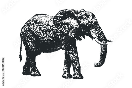 Textured elephant isolated on white transparent. Vector hand drawn illustration