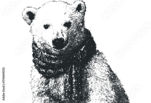 Polar bear cub looking forward on transparent background. Vector hand drawn illustration