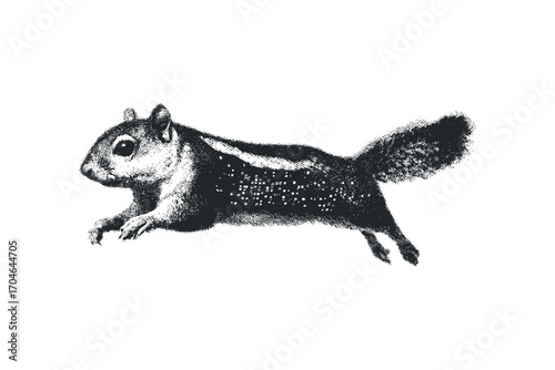 Chipmunk running on transparent background. Vector hand drawn illustration