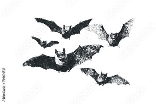 A swarm of bats in flight, image on transparent background. Vector hand drawn illustration