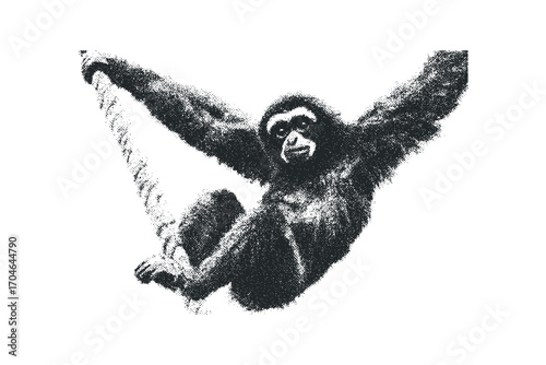 Gibbon primate swinging on rope image on transparent background. Vector hand drawn illustration